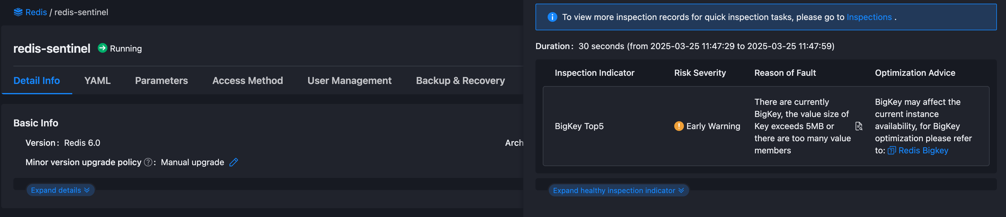 BigKey 检测报告